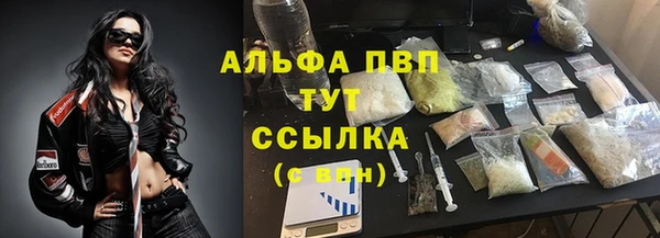 крисы Алзамай