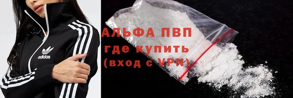 крисы Алзамай