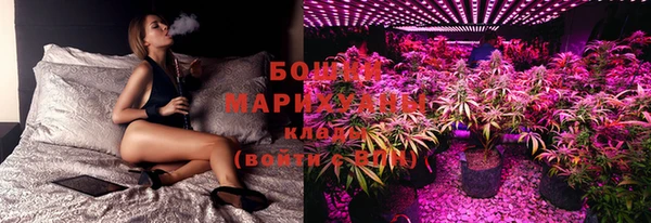 крисы Алзамай