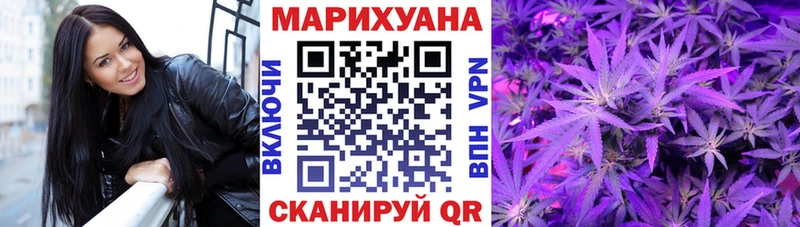 Шишки марихуана OG Kush  купить   Алушта 